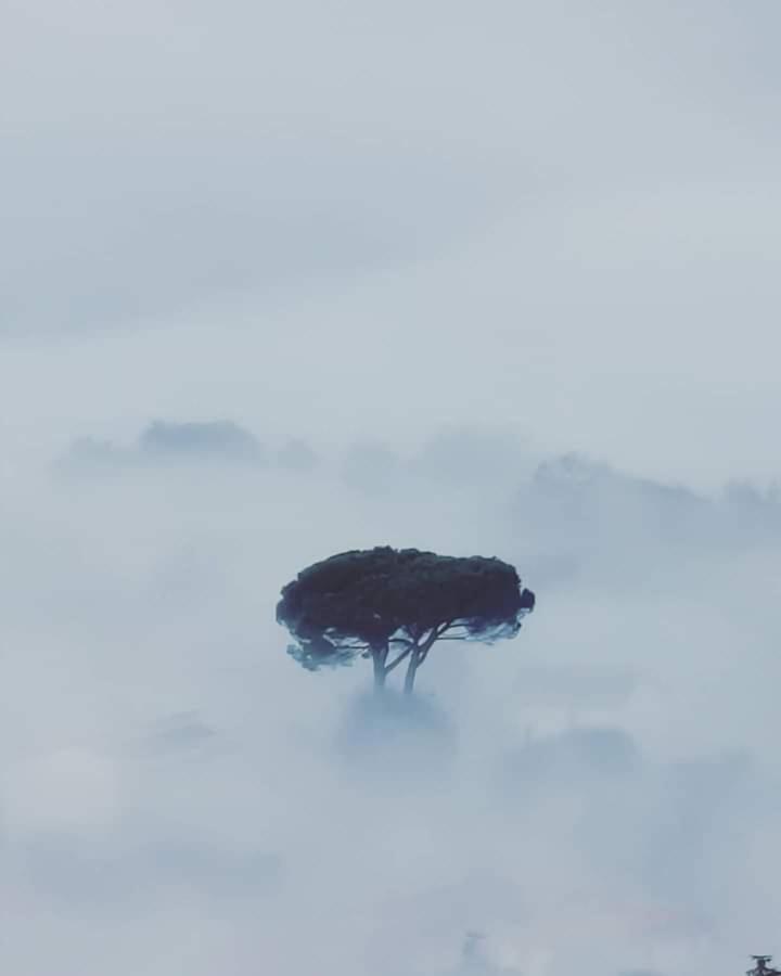 Affittacamere La Foresta Di Sopra Barga Exterior foto