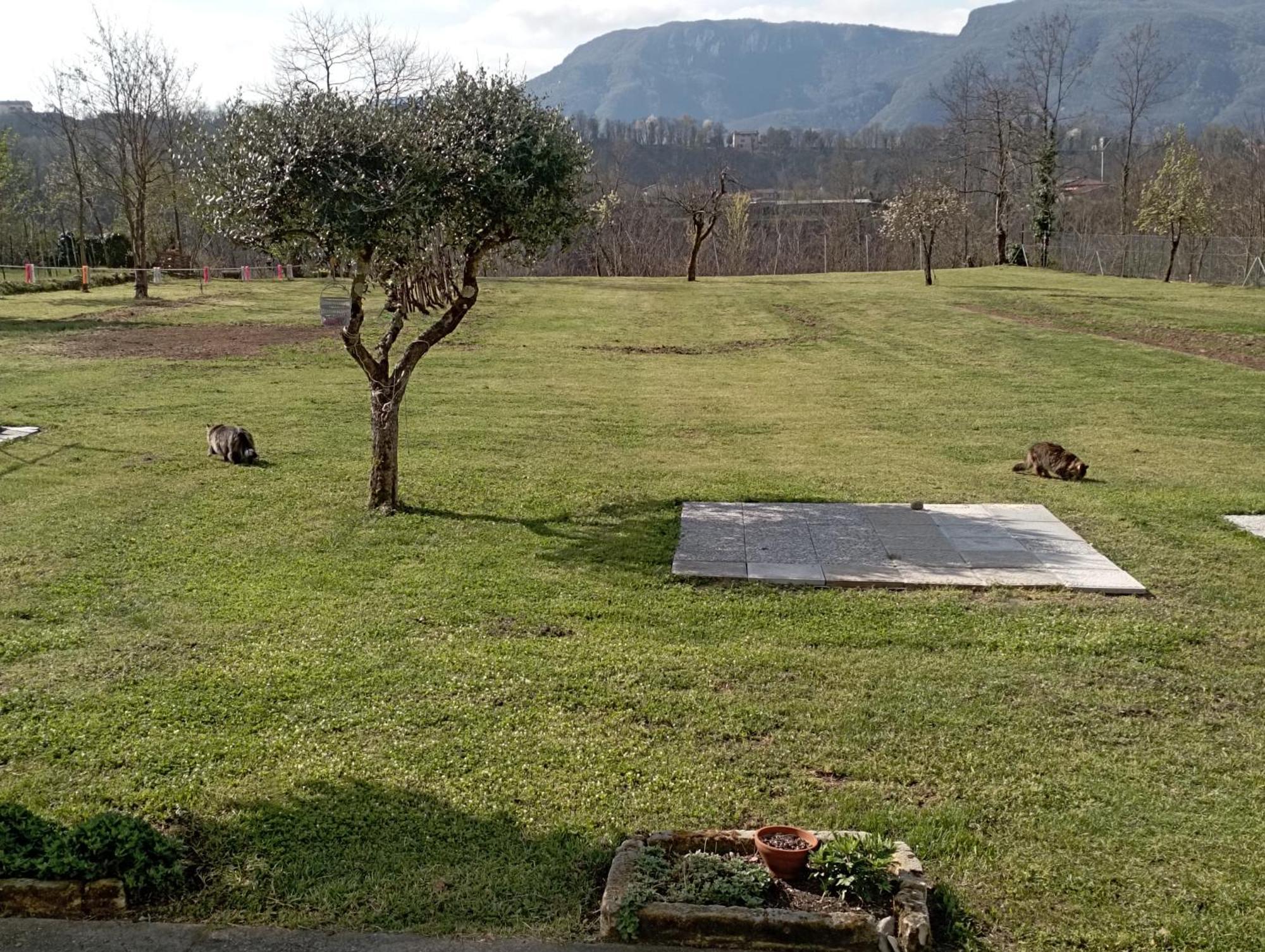 Affittacamere La Foresta Di Sopra Barga Exterior foto